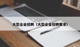 大型企业招聘（大型企业招聘要求）