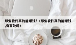 那些软件真的能赚钱?（那些软件真的能赚钱,有害处吗）