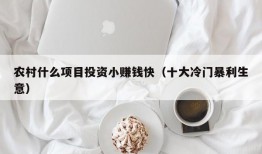 农村什么项目投资小赚钱快（十大冷门暴利生意）