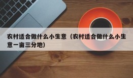 农村适合做什么小生意（农村适合做什么小生意一亩三分地）