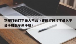 正规打码打字录入平台（正规打码打字录入平台手机版苹果手机）