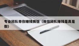 专业团队带你赚钱微信（微信团队赚钱是真是假）