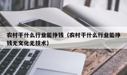 农村干什么行业能挣钱（农村干什么行业能挣钱无文化无技术）